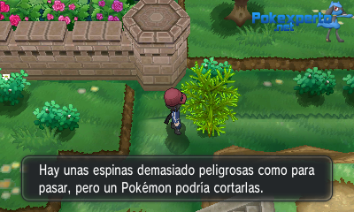 Gua Pokmon XY
