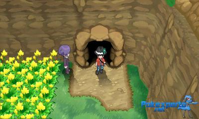 Gua Pokmon XY