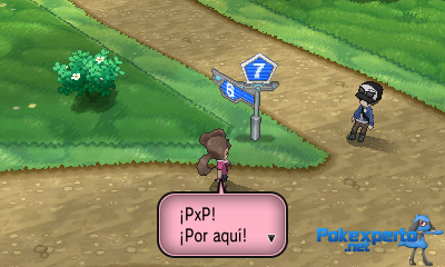 Gua Pokmon XY