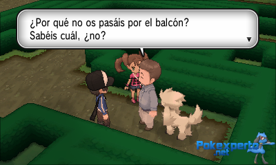 Gua Pokmon XY