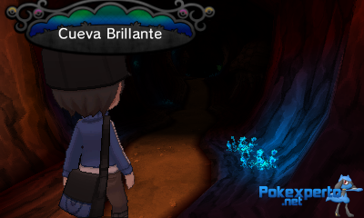 Gua Pokmon XY