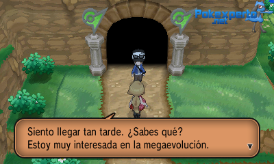 Gua Pokmon XY