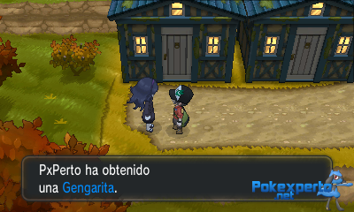 Gua Pokmon XY