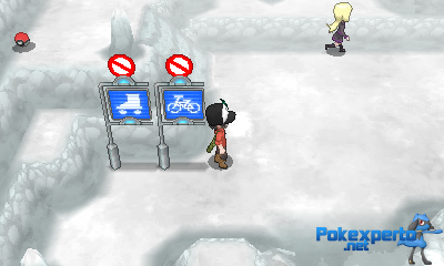 Gua Pokmon XY