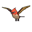 Sprite Fletchinder Shiny XY