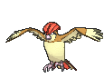 Sprite Pidgeotto XY