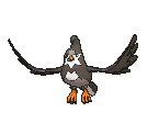 Sprite Staravia XY