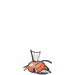 Sprite Magikarp XY