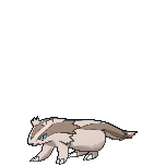 Sprite Linoone XY