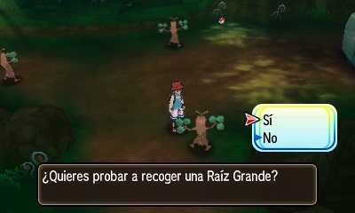 Prueba Recorrido Insular