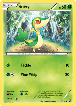 Carta de Snivy