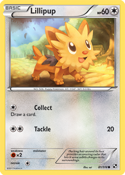 Carta de Lillipup