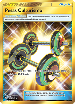 Carta de Pesas Culturismo