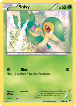 Carta de Snivy