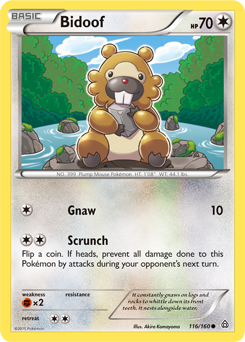 Carta de Bidoof