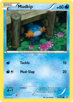 Carta de Mudkip