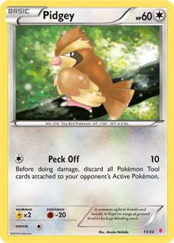 Carta de Pidgey
