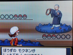 HeartGold SoulSilver