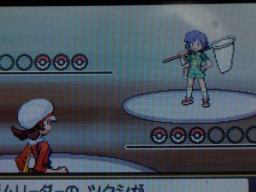 HeartGold SoulSilver