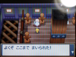 HeartGold SoulSilver