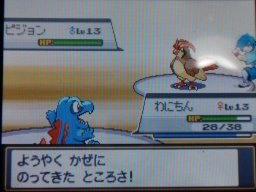 HeartGold SoulSilver