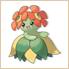 Bellossom Artwork Image