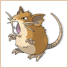 Raticate Artwork Image