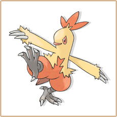 Combusken Artwork Image