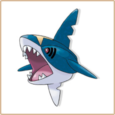 Sharpedo Artwork Image