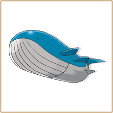 Wailord Artwork Image
