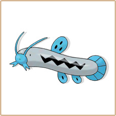 Barboach Artwork Image