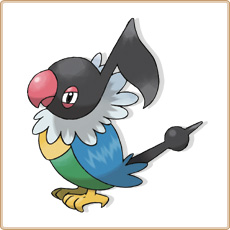 Chatot Artwork Image