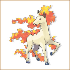 Rapidash Artwork Image
