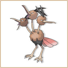 Dodrio Artwork Image