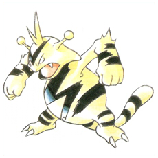 Artwork Electabuzz Ken Sugimori