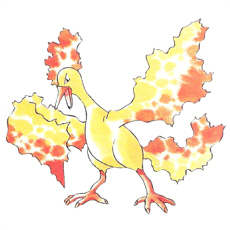 Artwork Moltres Ken Sugimori