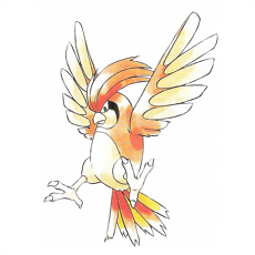 Artwork Pidgeotto Ken Sugimori
