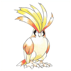 Artwork Pidgeot Ken Sugimori