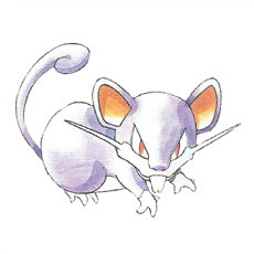 Artwork Rattata Ken Sugimori