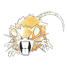 Artwork Raticate Ken Sugimori
