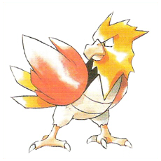 Artwork Spearow Ken Sugimori