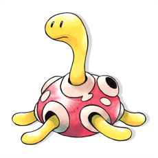 Artwork Shuckle Ken Sugimori
