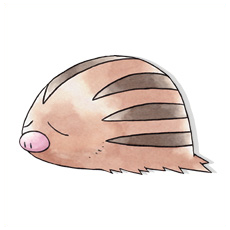 Artwork Swinub Ken Sugimori