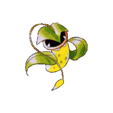 Artwork Victreebel Ken Sugimori