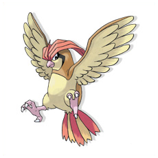 Artwork Pidgeotto Ken Sugimori