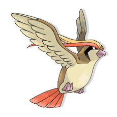 Artwork Pidgeot Ken Sugimori