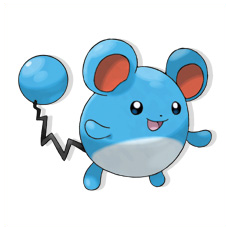 Artwork Marill Ken Sugimori