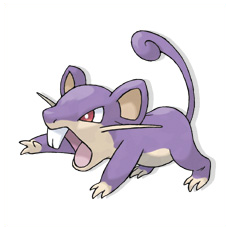 Artwork Rattata Ken Sugimori