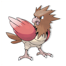 Artwork Spearow Ken Sugimori