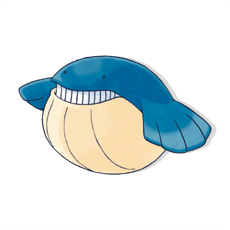 Artwork Wailmer Ken Sugimori